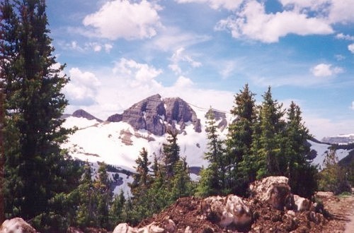 Click to Enlarge