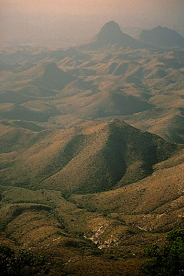 Click to Enlarge